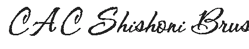 The CAC Shishoni Brush Font