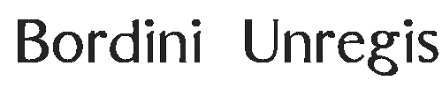The Bordini (Unregistered) Font