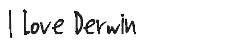 The I Love Derwin Font